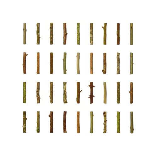 Thirty Six Sticks (60 x 60 cm) oil on panel