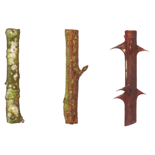 Thirty Six Sticks - detail