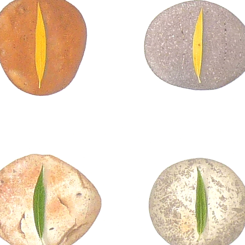 Willow on Stone - detail