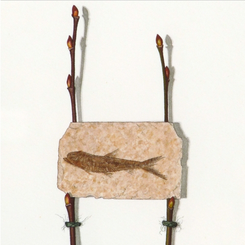 Fifty Five Million Years Old - detail