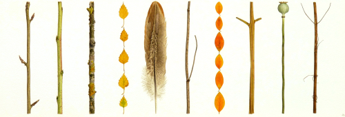 Columniation (20 x 56 cm) water colour